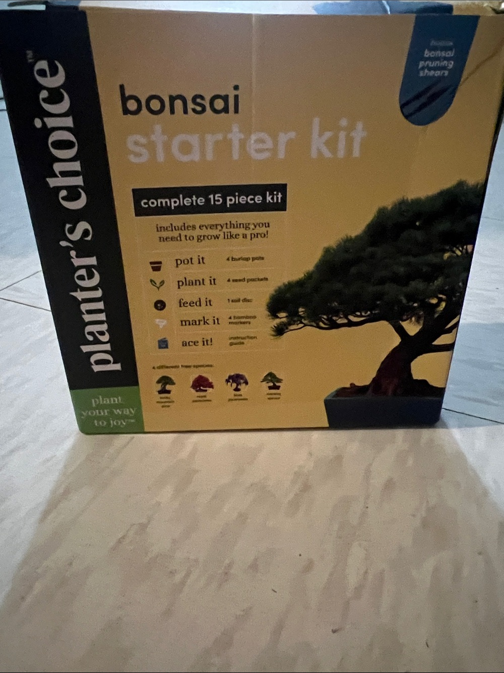 Bonsai Plant Starter Kit